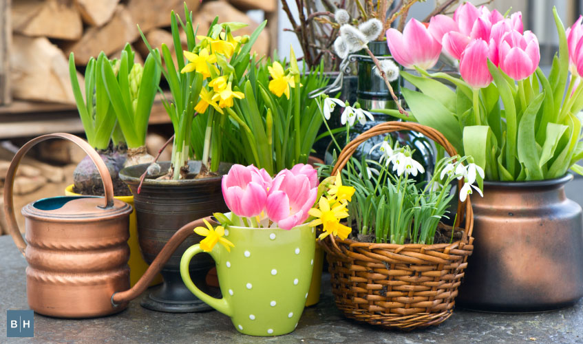Roll Out the Outdoor Decor